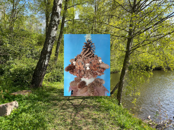 Kunst ute i naturen - bilde av kongler plassert blant trær :foto