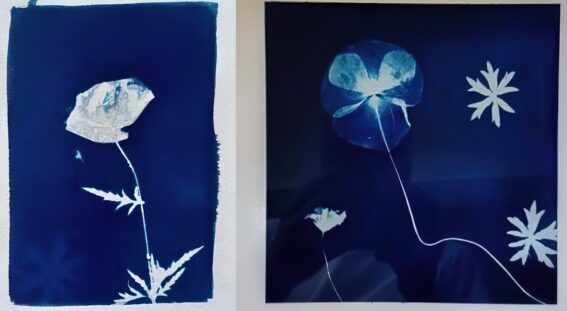 To bilder av blomster i blått og hvitt, fra Cyanotypi verksted :foto